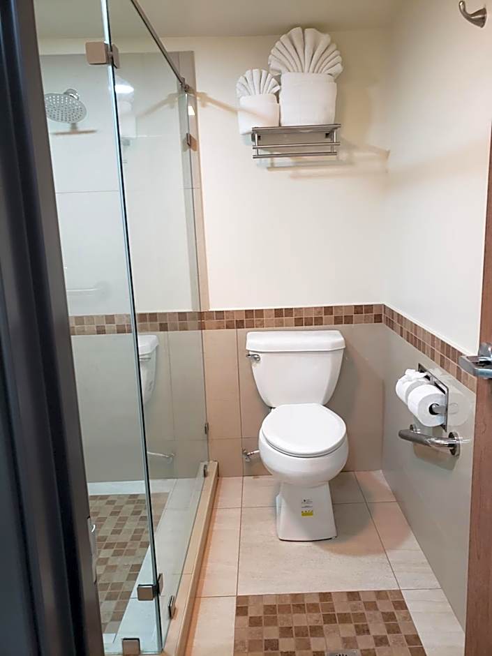 La Villa de Zaragoza