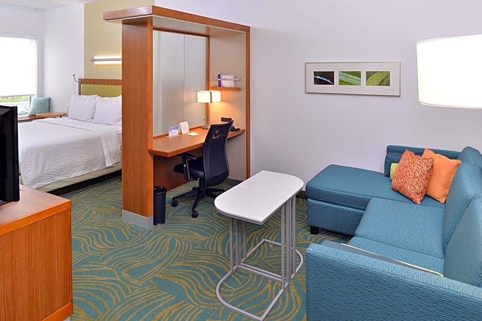 SpringHill Suites by Marriott Raleigh Cary