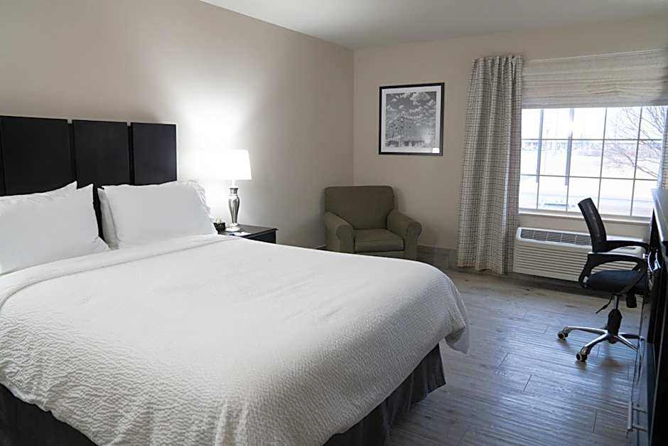 Lucille's Hotel