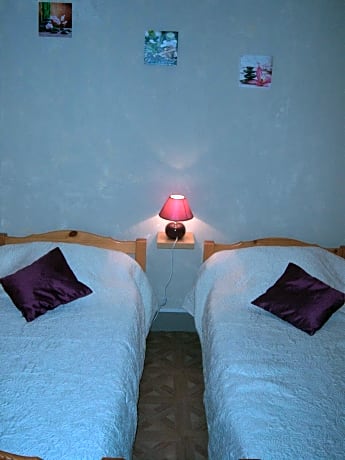 Twin Room with Exterior Private Bathroom