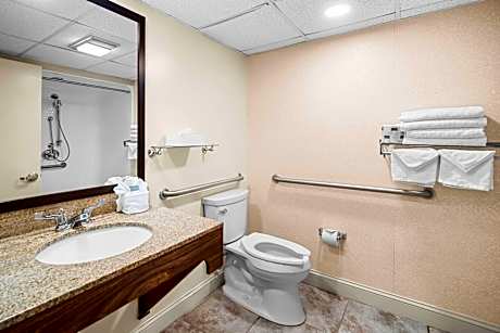 Queen Room with Roll in Shower