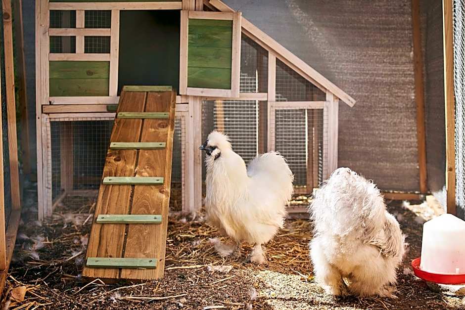 Campanile Nancy Ouest - Laxou