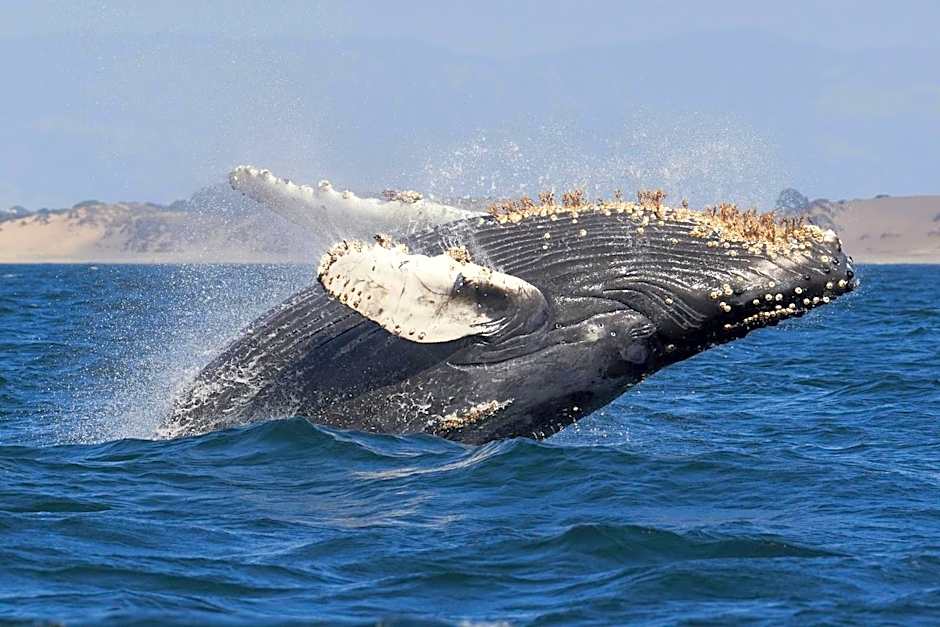 Holiday Inn Express at Monterey Bay By IHG