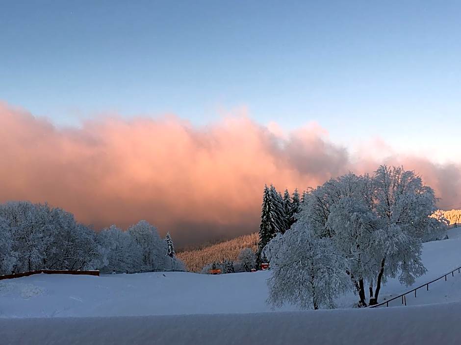 Hotel Restaurant Mont Champ du Feu