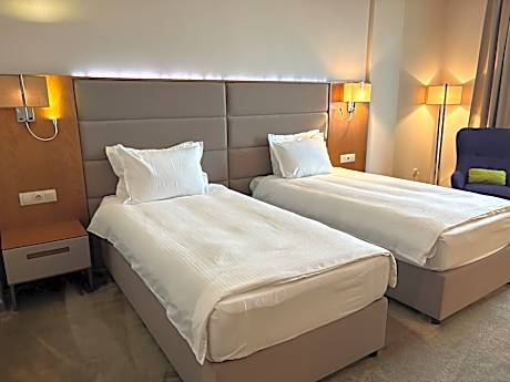 Double Standard Room 2 Single Beds for SINGLE Use