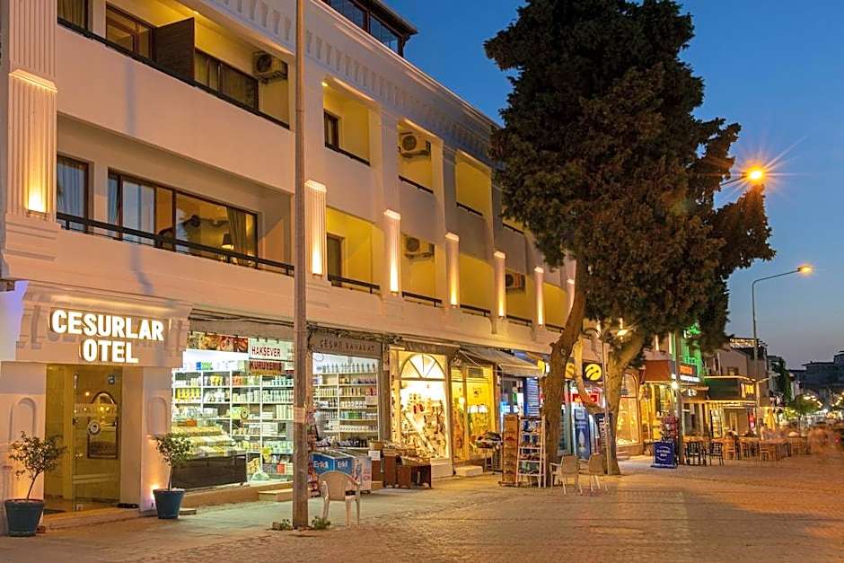 Cesurlar Hotel
