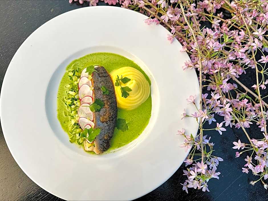 Hotel Palace - KÚPELE SLIAČ