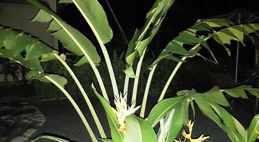 Bird of Paradise Bungalows