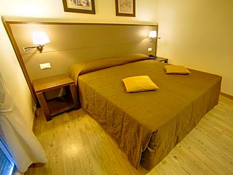 Superior Double or Twin Room with City View