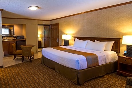 1 KING BED,MOBILITY ACCESSIBLE,ROLL SHWR,SOFBD,NSMK