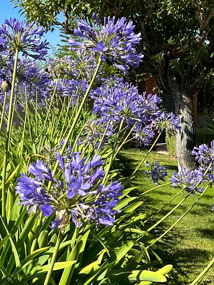 Villa Tranberg Suites