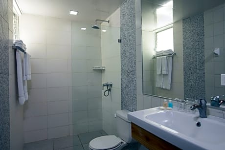 Economy Single Room (1 Queen Bed)