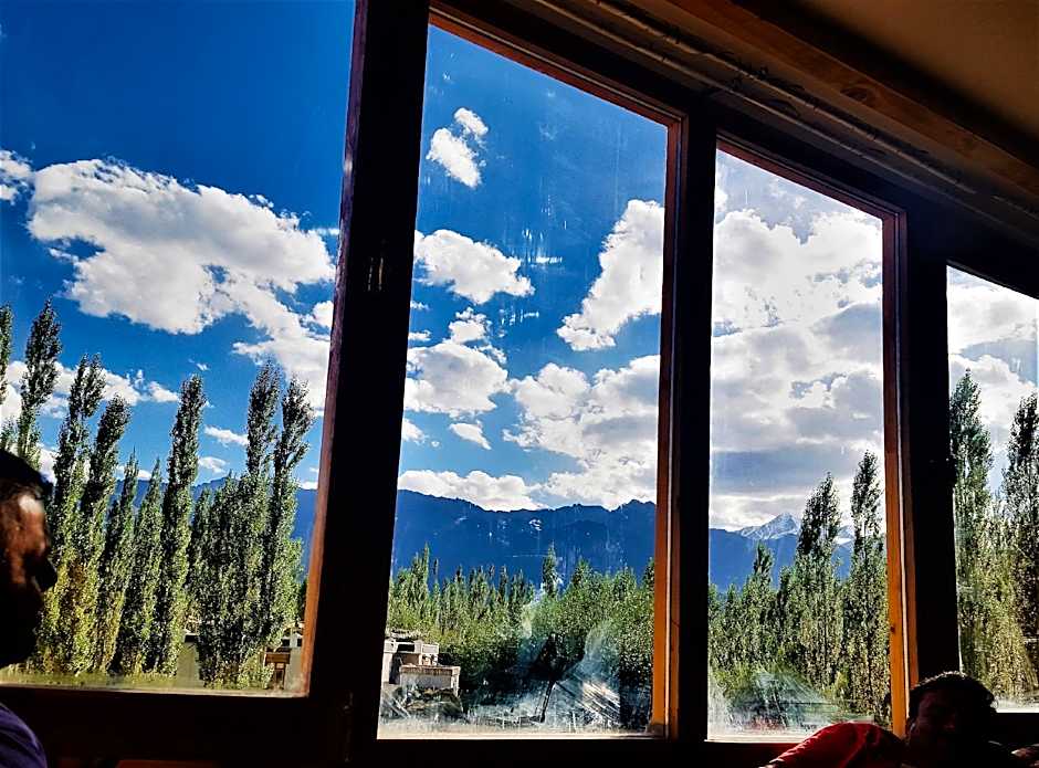 The Driftwood Hotels