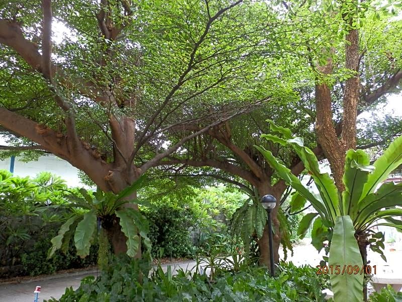 Sandy Serviced Apartment