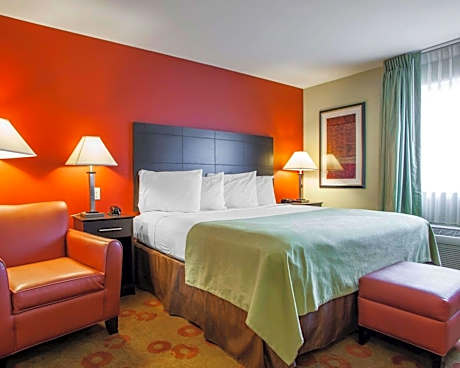 1 King Bed Suite Nonsmoking