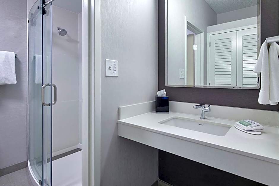 Courtyard By Marriott Detroit Metro Airport Romulus