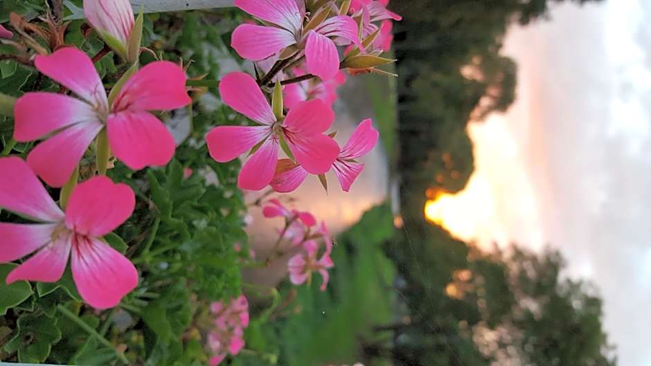 Aparthotel am Kurpark