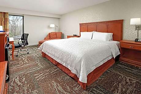 1 King Bed Nonsmoking