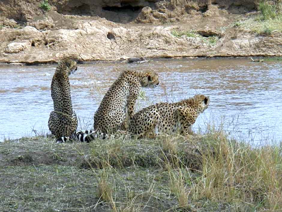 Exploreans Mara River Camp