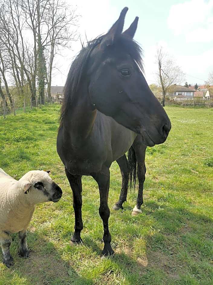B&B A la Ferme d'Ourches