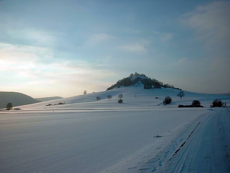 Hotel Hofgut Hohenkarpfen