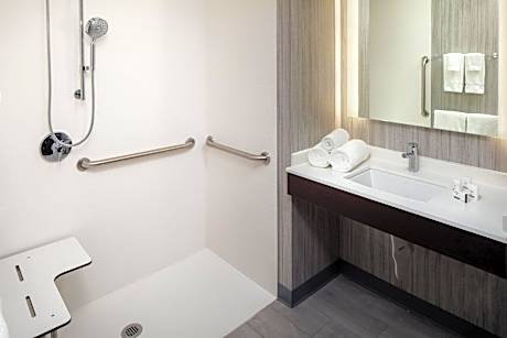 King Room with Roll in Shower - Hearing Accessible/Non-Smoking