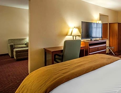 1 King Bed, Suite, Smoking