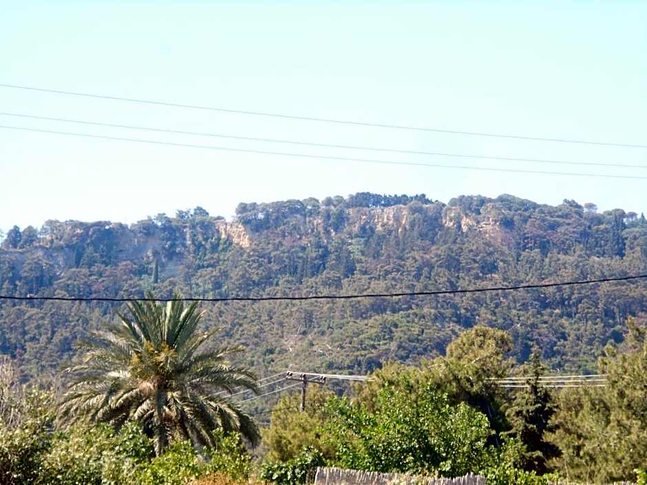Villa Sofia