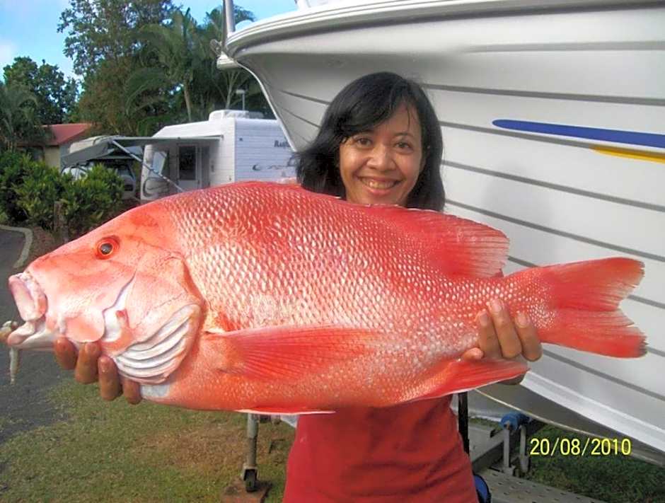 Flying Fish Point Tourist Park