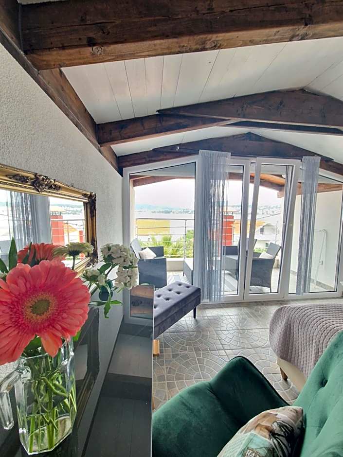 Luxury Apartments Silva with sea view