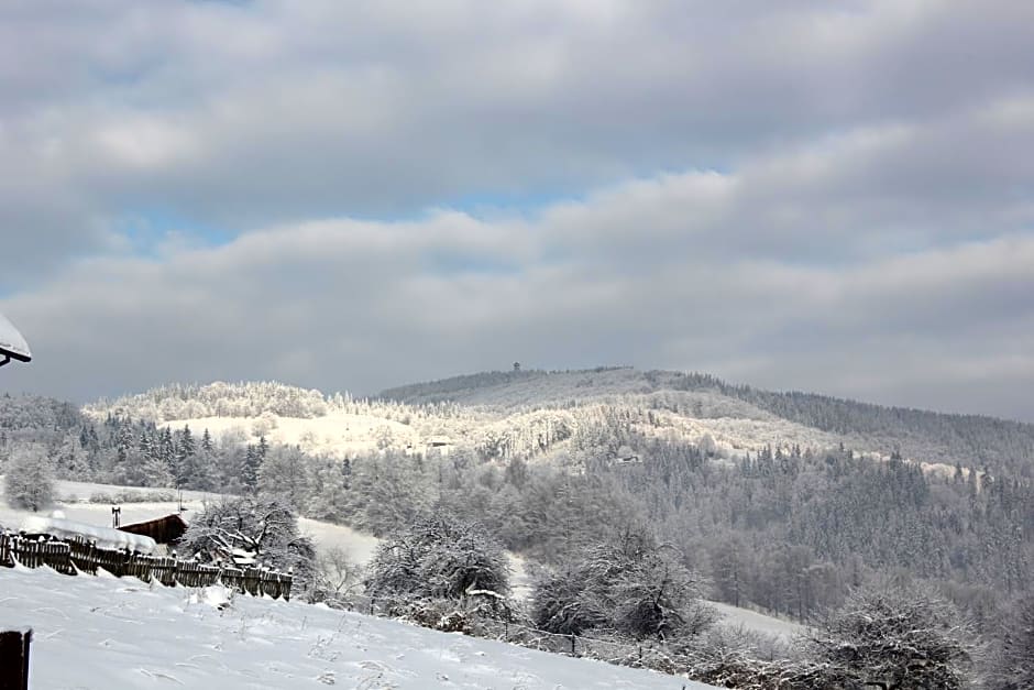 Hillton Jawornik – Wisla, IN