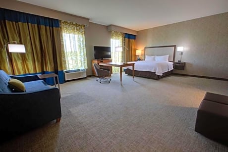 Hampton Inn & Suites by Hilton Tampa Busch Gardens Area