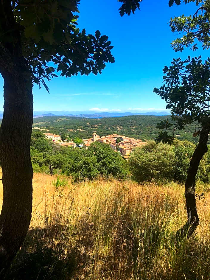 Clos des Vignes Pampelonne Vineyard