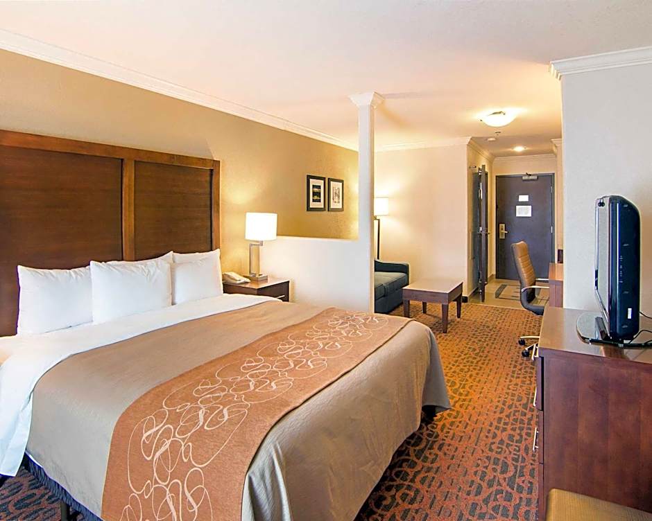 Comfort Inn & Suites I10 - Mason Road