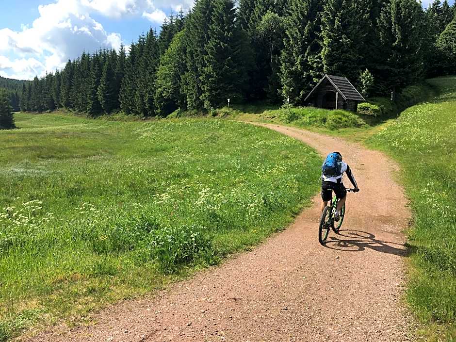 Appartementhaus Zur Bergwiese