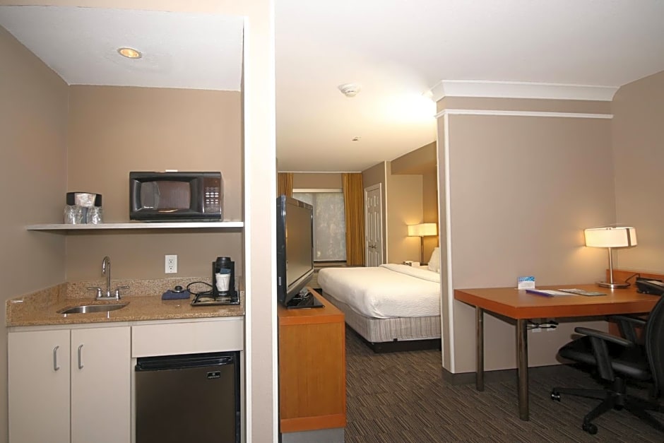 SpringHill Suites by Marriott Charleston North