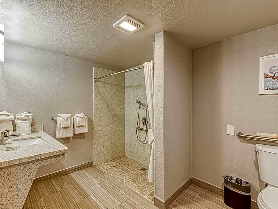 Amanzi Hotel, Ascend Hotel Collection