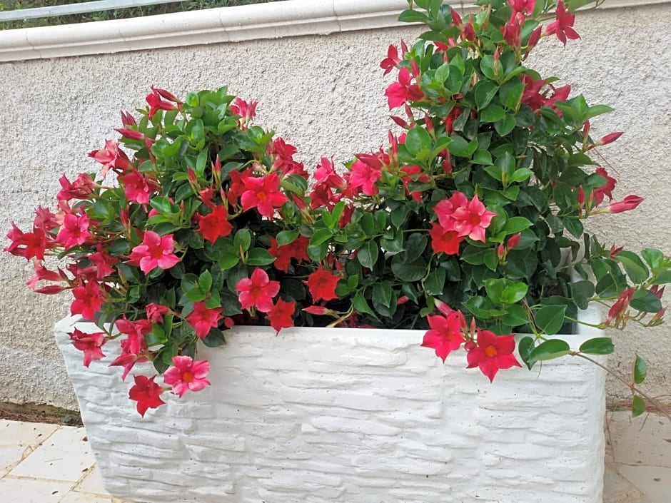 Blu Salentino b&b con Parcheggio Privato Gratuito