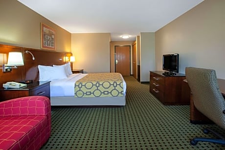 1 King Bed Non-Smoking