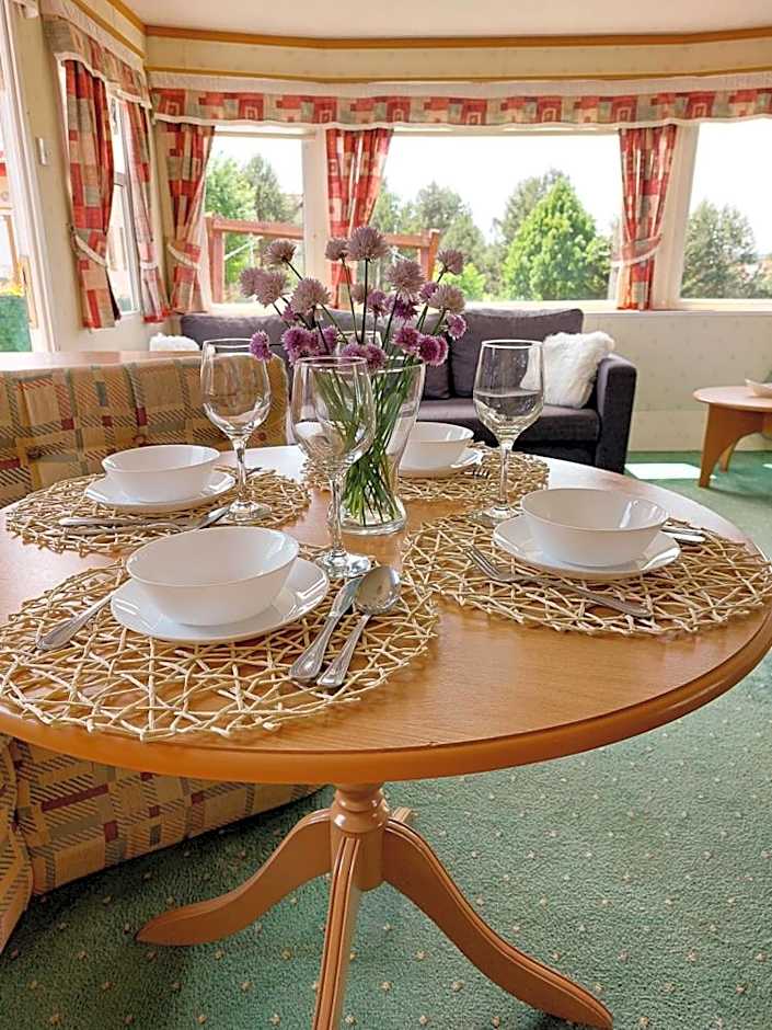 Domek holenderski Sosnowa na wyłączność