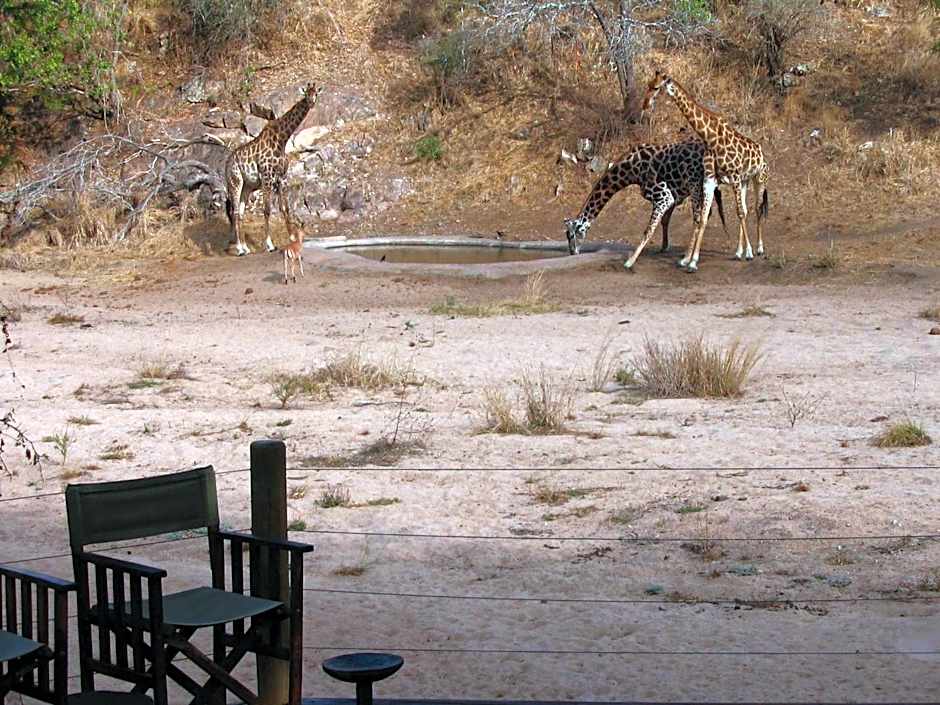 Rhino Post Safari Lodge