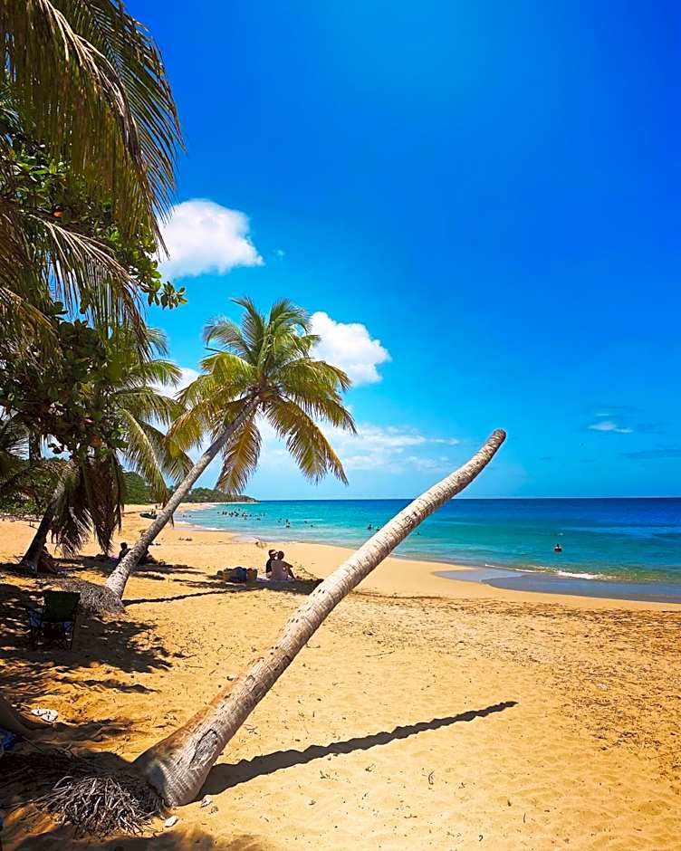 Auberge K-WAN Hostel - Proche Plages