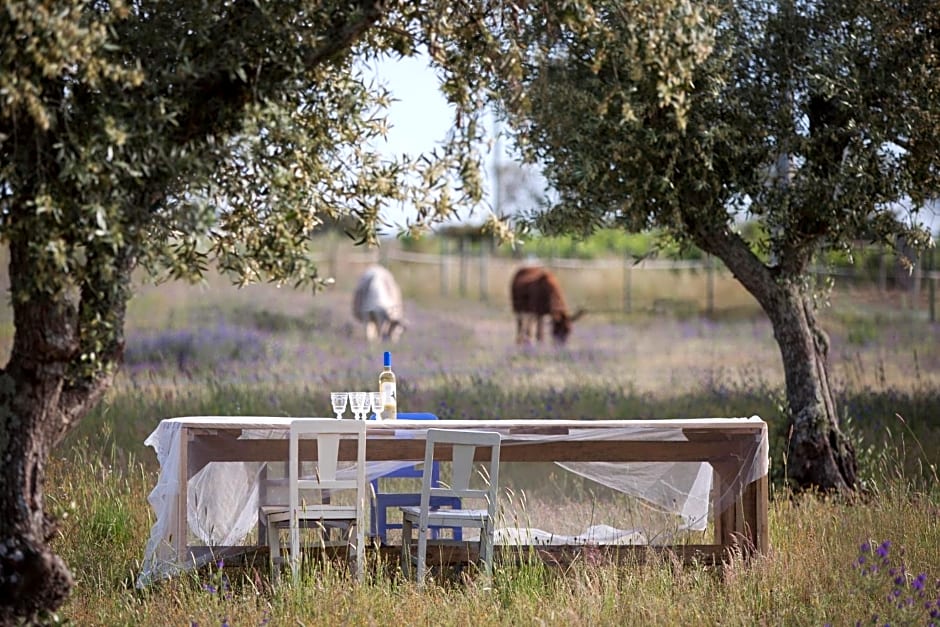 Quinta dos doze Sobreiros - Quarto Sol