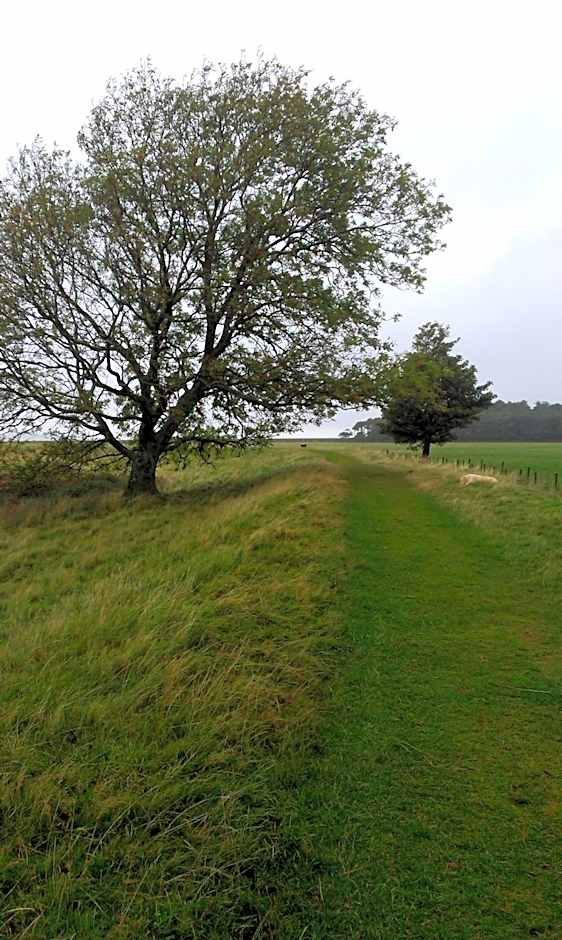 Min y Don Guest House