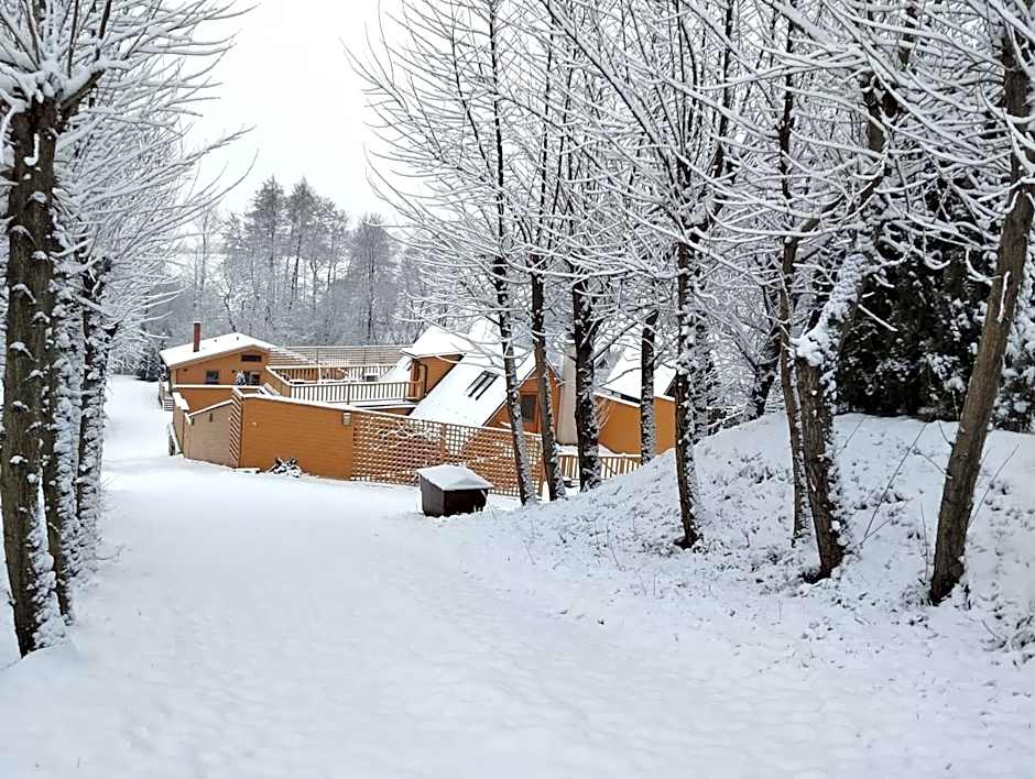 Chalets under Falcon Ridge
