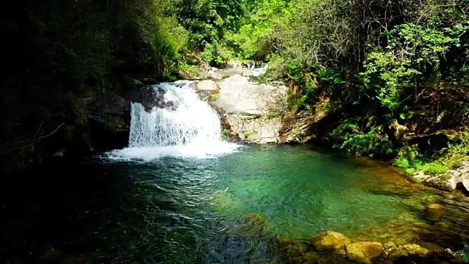 Lago da Garça Guesthouse