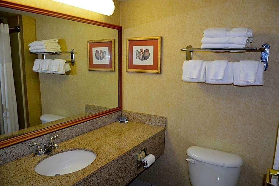 Wingate By Wyndham West Monroe