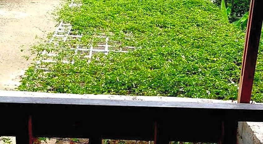 ARRYS (Watukarung Surf Camp)