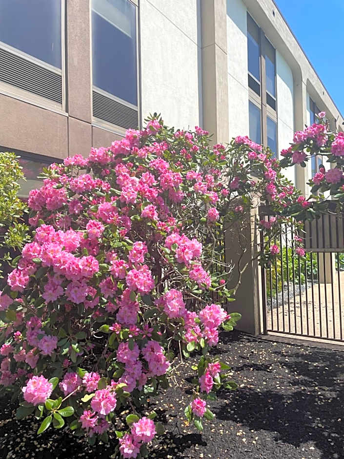 Hampton Inn By Hilton New Bedford/Fairhaven