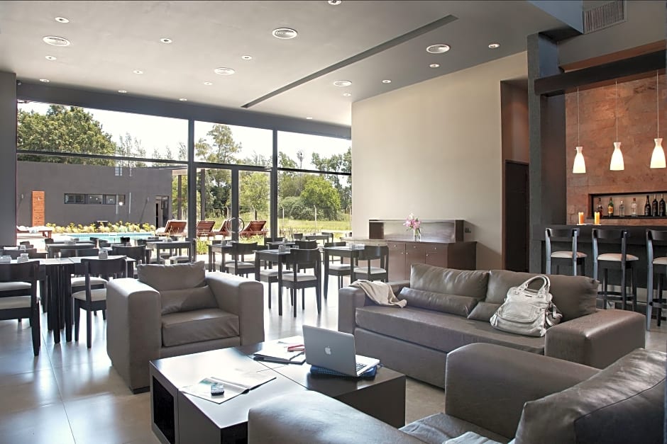 Dazzler by Wyndham Campana